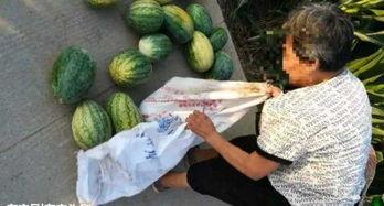 介休网红吃瓜最新事件,揭秘背后真相与网友热议